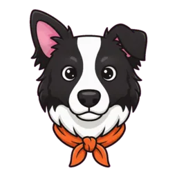 Nip the border collie
